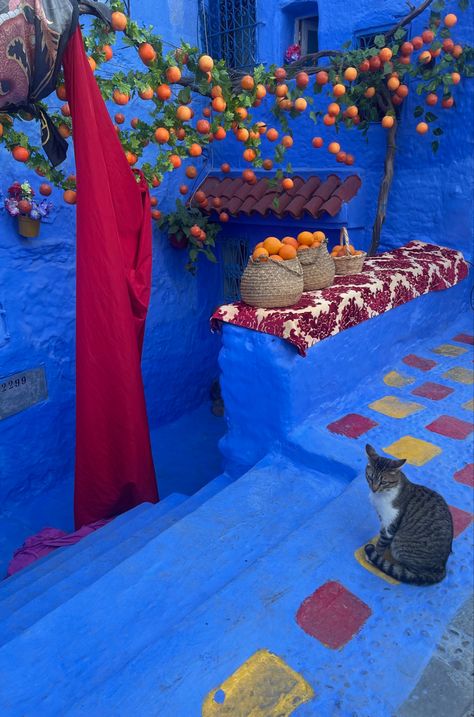 Morroco Blue City, Blue City Morocco, Downtown Cairo, Moroccan Luxury, Mexican Heart, Morocco Trip, Chefchaouen Morocco, Moroccan Aesthetic, Moroccan Inspiration