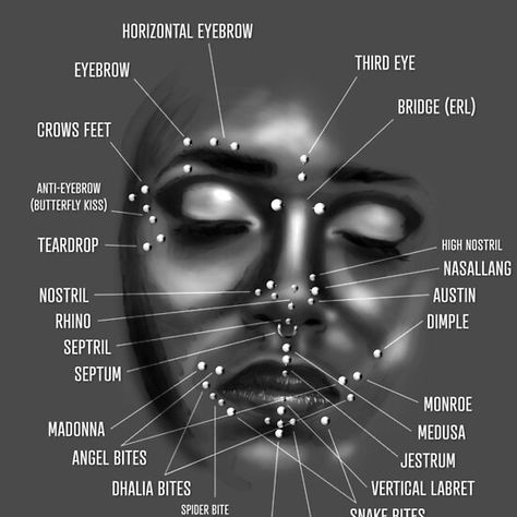 Face Piercing Chart, Black and White Piercing No Rosto, Piercings Corps, Piercings Nase, Piercing Facial, Piercings Bonitos, Piercing Bouche, Mouth Piercings, Types Of Facials, Ear Piercings Chart