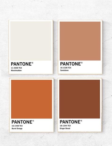 Pantone Brown, Pantone Wall Art, Pantone Wall, Art Set 4, Orange Pantone, Boho Colors, Pantone Palette, Pantone Colour Palettes, Colors Wall