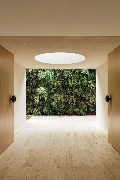 Studio Arthur Casas, Ricardo Labougle · DS House Sustainable Architecture, Tanaman Indoor, Modern Entryway, 카페 인테리어 디자인, Patio Interior, Studio Interior, Green Wall, Interior Design Studio, Garden View