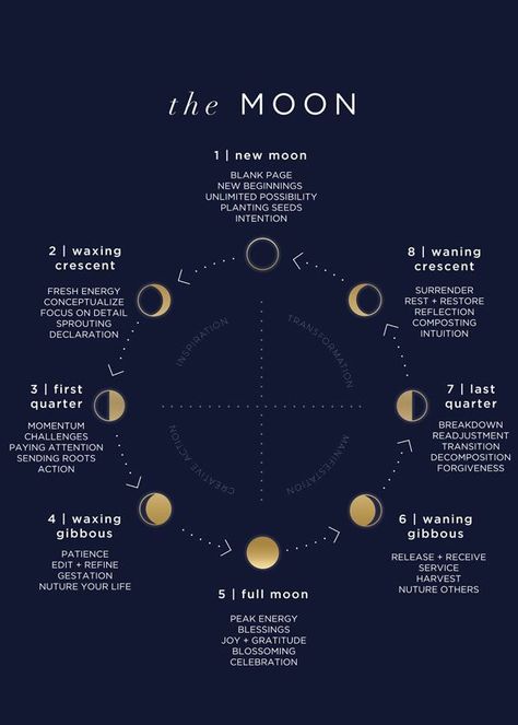 moon phases: my birthday is waxing crescent The Phases Of The Moon, Magia Das Ervas, Phases Of The Moon, Lunar Cycle, Moon Cycles, Moon Magic, Astrology Zodiac, Moon Child, New Moon