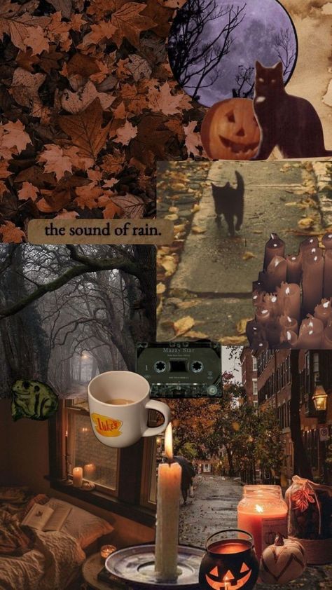 Autumn Phone Wallpaper, Helloween Wallpaper, Halloween Wallpaper Cute, Fall Mood Board, Cute Fall Wallpaper, Autumn Magic, Fall Background, Halloween Wallpaper Iphone, Season Of The Witch