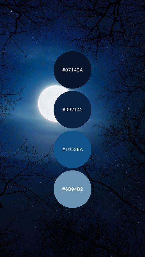 Blue Moon Color Palette, Color Palette Midnight Blue, Deep Blue Colour Palette, Dark Blue Colour Scheme, Nighttime Color Palette, Night Sky Color Palette, Midnight Blue Color Palette, Midnight Color Palette, Moon Color Palette