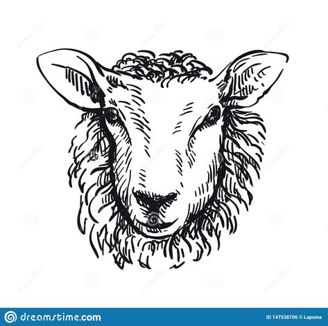 Drawing Of Sheep, Animal Farming, Sheep Logo, Sheep Tattoo, Sheep Drawing, Sheep Face, Sheep Head, Sheep Paintings, Drawing Heads