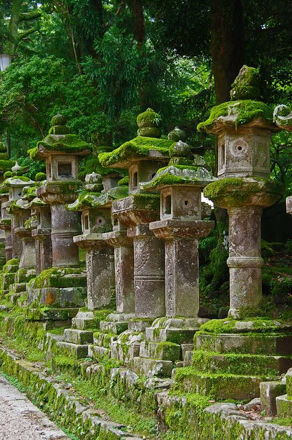 Spiritual green! Kasuga Taisha Shrine, #Nara, #Japan Kasuga Shrine, Stone Structures, Nara Japan, Stone Lantern, Japanese Lanterns, Moss Covered, Moss Garden, Have Inspiration, Japanese Architecture