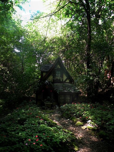 Dark Cottage In The Woods, Nature, Cottage By A Stream, Cottage In The Middle Of Nowhere, Living In Woods Aesthetic, Hidden Cottage In The Woods, Dark Cottage House, Cottage Aesthetic House, Cottage In The Woods Aesthetic