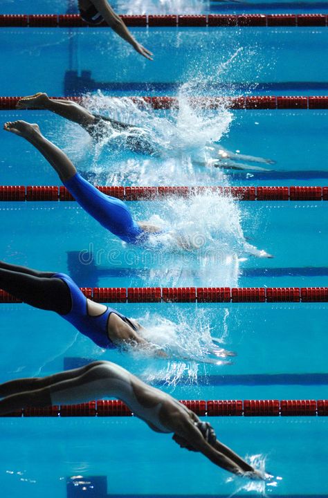 Swim dive start 01. Women dive into the pool at the start of a swimming race , #Ad, #start, #Swim, #dive, #swimming, #race #ad Swimmer Diving Into Pool, Swimming Competition Aesthetic, Swimming Sport Aesthetic, Swimming Collage, Competitive Swimming Aesthetic, Swimming Aesthetic Sport, Diving Into Pool, Swimming Pool Aesthetic, Swimming Pics