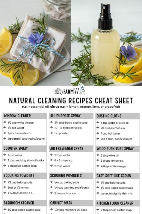 All Natural Cleaning Products, Homemade Cleaning Supplies, Newborn Schedule, Natural Cleaning Recipes, Homemade Cleaning Solutions, Easy Reference, Homemade Cleaning Products, Natural Cleaners, Homemade Cleaning