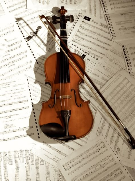 Violin Aesthetic, Violin Art, Violin Design, Violin Sheet, Woodwind Instruments, Violin Sheet Music, Music Motivation, Violin Music, The Violin