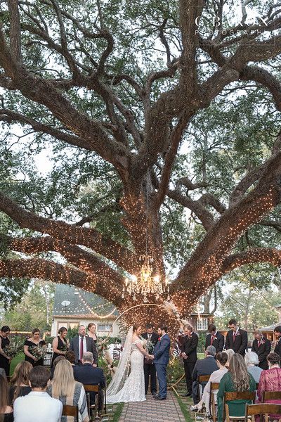 Awesome Autumn Wedding at Oak Tree Manor in Spring Texas - CBaronPhotography Wedding By A Tree, Live Oak Wedding, Wedding Under Oak Tree, Wedding Under Tree, Wedding Under Trees, Pasture Wedding, Oak Tree Wedding Ceremony, Wedding Mantle, Tree Wedding Ceremony