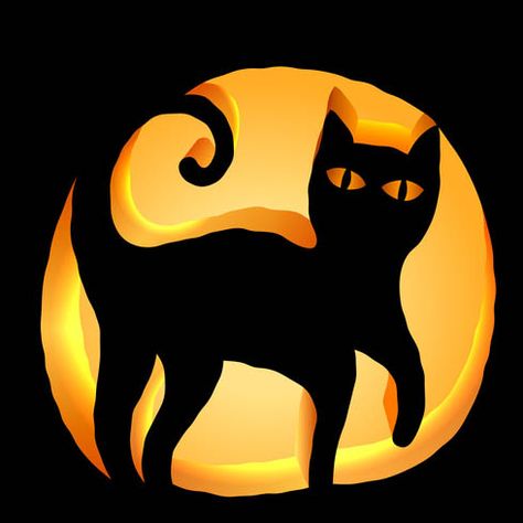 Black Cat Pumpkin Carving Stencil - Download free template Cat Pumpkin Stencil, Cat Pumpkin Carving, Pumpkin Carving Stencil, Pumpkin Carving Stencils Free, Pumpkin Stencils Free, Cute Pumpkin Carving, Pumpkin Stencils, Halloween Pumpkin Carving Stencils, Black Cat Pumpkin