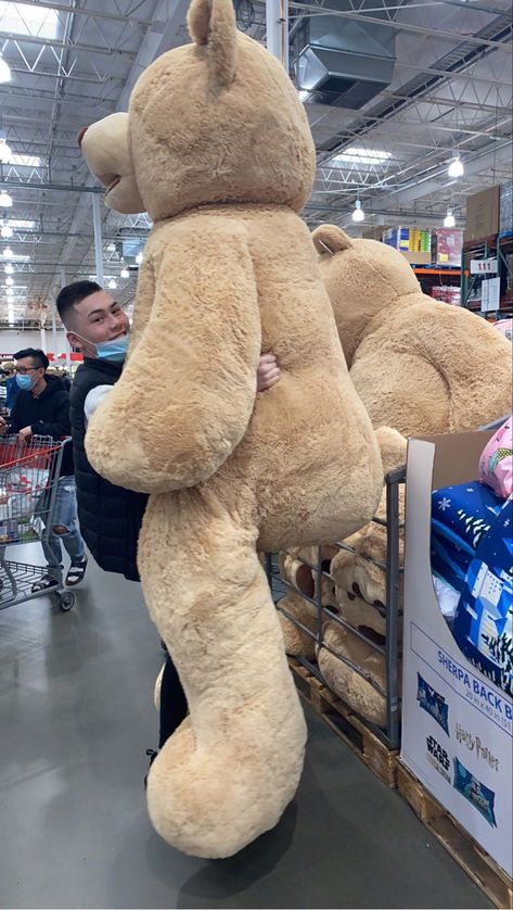 6ft Teddy Bear, Costco Bear, Weeknd Songs, Fluffy Teddy Bear, Giant Stuffed Animals, Large Teddy Bear, Big Teddy Bear, Teddy Bear Images, Big Teddy