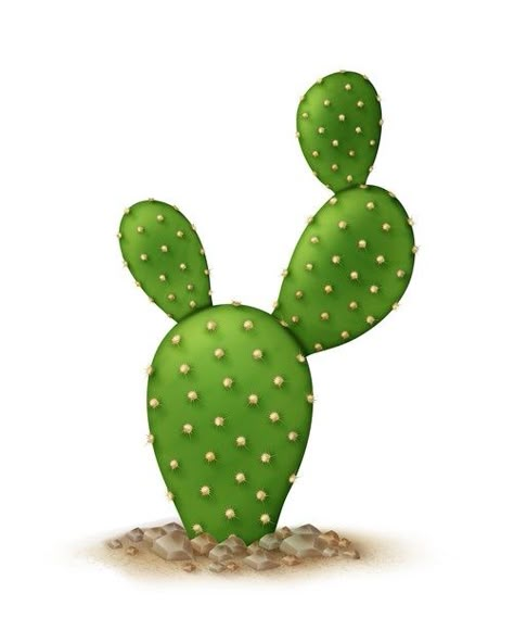 Dark Roses Tattoo, Desert Landscape Art, Bunny Ear Cactus, Opuntia Microdasys, Tile Making, Art For Walls, Cactus Vector, Cactus Drawing, Walls Art