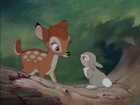 Disney Friendship Quotes, Bambi 1942, Bambi 3, Bambi And Thumper, Bambi Disney, Disney Screencaps, Little Einsteins, Lilo Et Stitch, Film Disney