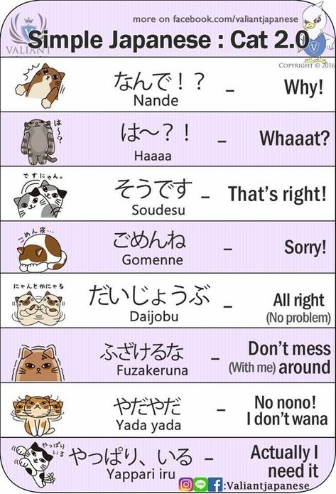 Cheezburger Image 9154070784 Learn Basic Japanese, Learn Japan, Bahasa China, Bahasa Jepun, Materi Bahasa Jepang, Basic Japanese Words, Japanese Language Lessons, Learn Japanese Words, Japanese Quotes