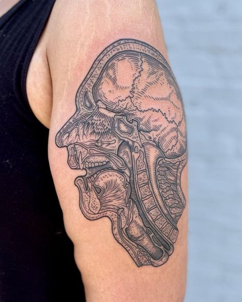 Katy Wiedemann on Instagram: “I’m always happy to adapt my own traditional work into tattoos! This piece is an illustration I drew for my book Anatomicum featuring a…” Katy Wiedemann, Anatomical Tattoos, Upper Respiratory Tract, Local Bookstore, Anatomy Tattoo, Etching Tattoo, Medical Tattoo, Always Happy, Cross Section