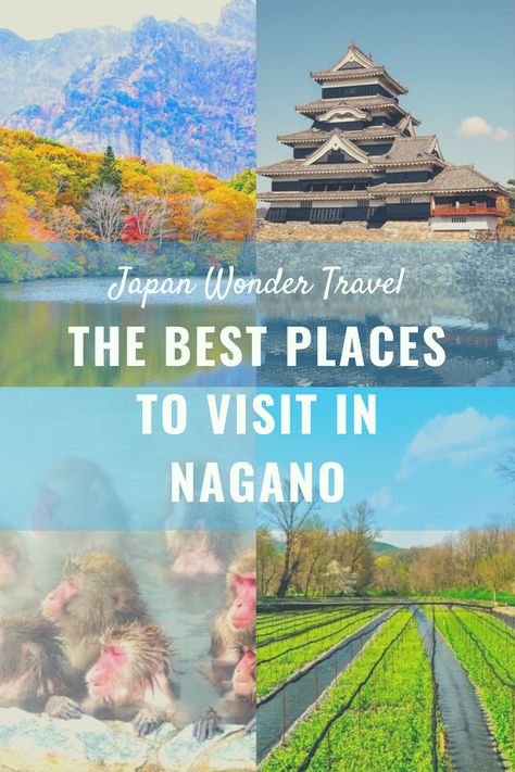 Japan In November, Nagano Prefecture, Japan Honeymoon, Japan Autumn, Japan Winter, Japan Hotel, Japan Summer, Amazing Places To Visit, Snow Monkey