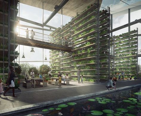 Urban Farming Architecture, Indoor Farming, Modern Agriculture, Urban Design Architecture, Vertical Farming, Urban Agriculture, Natural Ecosystem, Green Architecture, Diagram Architecture