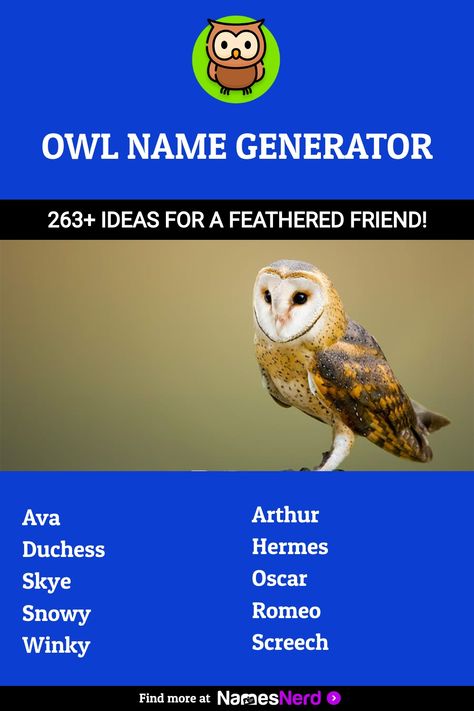 Owl Name Generator - [263+ Ideas for a Feathered Friend!] Mysterious Names, Majestic Names, Labyrinth Jareth, Tootsie Pop, Funny Owls, Majestic Creatures, Marty Mcfly, Female Names, Name Generator