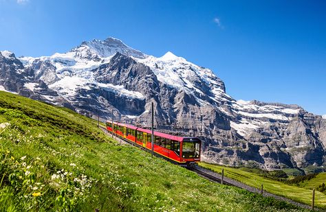 5 of Switzerland's Most Scenic Train Rides | Railbookers Best Of Switzerland, Glacier Express, Switzerland Tour, Best Places In Europe, Europe Train, Scenic Train Rides, Interlaken, Train Ride, Places In Europe