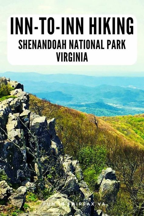 DIY Inn-to-Inn Hiking in Shenandoah National Park Virginia Inn To Inn Hiking Usa, Inn To Inn Hiking, Hiking Virginia, Hiking Usa, 2024 Travel, Travel Wishes, Hiking Trips, Virginia Travel, Matcha Recipe