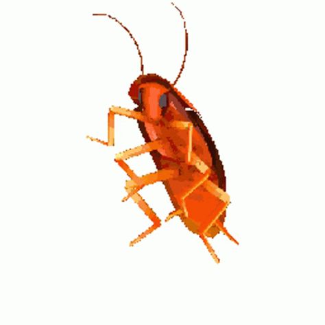 Rgb Roach Sticker - Rgb Roach Spinning - Discover & Share GIFs Spinning, Moving Gif, Love Boat, Dance Moves, Meeting People, Animated Gif, Cool Gifs, Dancing, Funny Gif