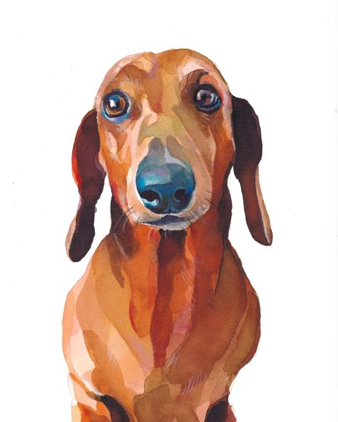 Vintage Dachshund Illustrations, Sausage Dog Painting, Dachshund Paintings, Daschund Illustration, Daschund Art, Dachshund Watercolor, Arte Dachshund, Dachshund Drawing, Dachshund Painting