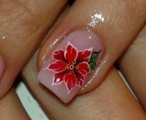 Holiday Nails Flowers, Poinsettia Nails Design, Pointsetta Nails, Pointsetta Flower Nails, Poinsettia Nails, Mistle Toe Nail Design, Poinsetta Nails Nailart, Cat Nail Designs, Holiday Nail Designs