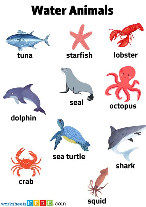 Aquatic Animals Chart, Animals That Live In Water, Land And Water Animals Worksheet, Water Animals Worksheets For Kids, Aquatic Animals Pictures, Animals Live In Water, Animals Name With Picture, Air Animals, Animals Name List