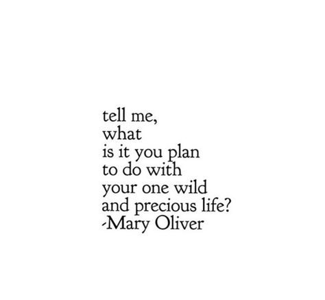 Wild And Precious Life, Kylie Francis, Into The Woods Quotes, Organized Life, Word Pictures, Some Words, Poetry Quotes, Pretty Words, Thoughts Quotes