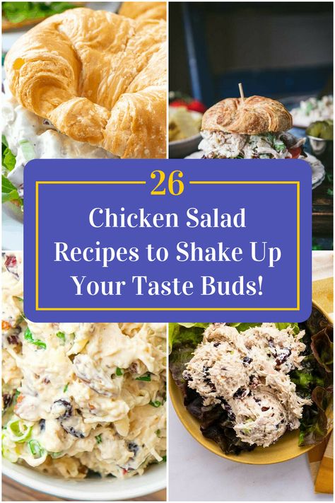 Collage of 4 chicken salad recipes. Chicken Salad Board, Chicken Salad Flavors, Types Of Chicken Salad, Unique Chicken Salad Recipes, Chicken Salad Appetizer, Bbq Chicken Salad Recipe, Amazing Smoothies, Best Chicken Salad Recipe, Layer Chicken