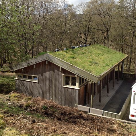 Grass roof Grass Roof, Greenhouse Shed, House Roof, Green Roof, New Builds, Roof, Shed, Outdoor Structures, Cabin