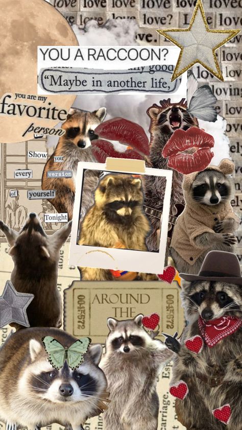 Racoon Funny, Cute Backgrounds For Iphone, Pet Raccoon, Monster Crafts, Pretty Wallpapers Tumblr, Cute Fall Wallpaper, Cute Raccoon, Raccoon Funny, Trash Panda