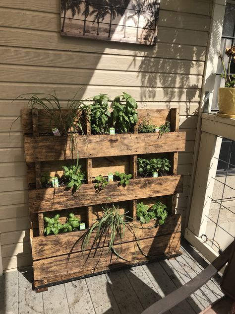 Upcycling, Pallet Projects Outdoor Furniture, Pallet Planter Wall, Pallet Herb Planter, Herb Pallet, Pallet Projects Outdoor, Trailer Garden, Furniture From Pallets, Pallet Herb Garden