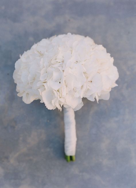 Small White Hydrangea Bouquet, Hydrangea White Bouquet, Bouquet Wedding Hydrangea, White Hydrangea Bridesmaid Bouquet, White Hortensia Bouquet, Babysbreath Hydrangea Bouquet, Simple Hydrangea Bouquet, White Hydrangea Wedding Aisle, White Wedding Hydrangeas