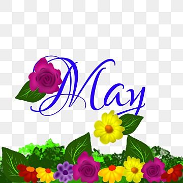 may,lettering,typography,flower,hello may,letter,calligraphy,worker,month,english,1 may,may clipart,holiday,may day,workers day,hello,flower vector,hand lettering,bullet journal,cute,local lettering,decorative,handwritten May Clipart, May Lettering, Letter Calligraphy, Flower Typography, Leaf Invitations, Sai Baba Hd Wallpaper, Journal Cute, Green Leaf Background, Workers Day