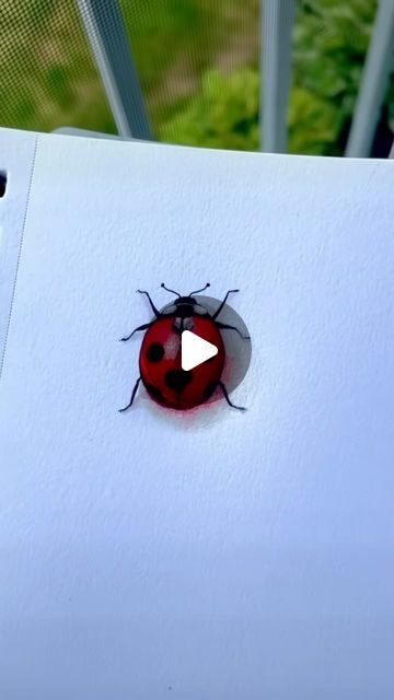 KASTALEIA on Instagram: "how to draw Ladybugs! 🐞 #ladybugs #ladybug #howtodraw #arttutorial" How To Draw Ladybug, How To Draw A Ladybug, Drawing Of Ladybug, Drawing Insects, Ladybug Drawing, Drawing Rocks, August 22, Watercolor Drawing, Rock Painting