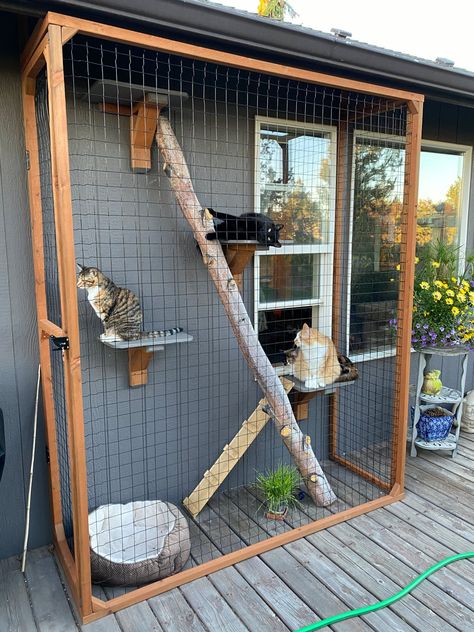 Cat Balcony Ideas, Nature Bedroom, Katt Diy, Katt Grejer, Cat Patio, Outdoor Cat Enclosure, Cat House Diy, Cat Run, Blue Exterior