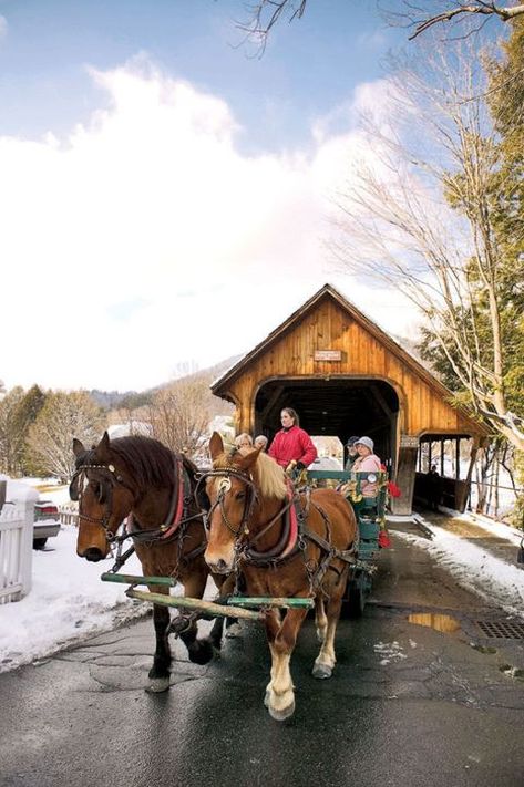 Horse supplies, Halter, Bridle, Winter, Working animal, Rein, Horse, Horse tack, Horse harness, Carriage, Country Activities, Christmas Trips, New England Christmas, England Christmas, England Town, Woodstock Vt, Woodstock Vermont, Horse Drawn Wagon, New England States