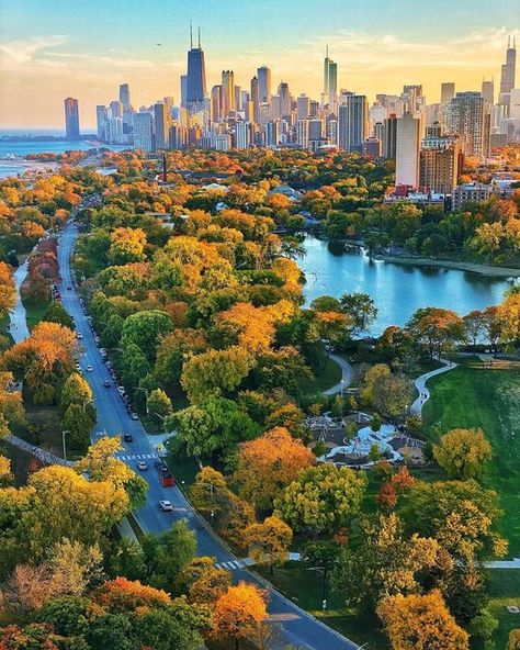 John O'Neill on Instagram: "Autumn Lights Up Lincoln Park. #lincolnpark #linconparkchicago #artofchi #igerschicago #chicago #likechicago #chicity_shots #lifeofchicago #chicagoskyline #ig_chicago #insta_chicago #thisischicago #chicagohome #eyeinthechi #unlimitedchicago #chicago_citylife #flippinchi #citybestpics #igscities #chi.shooters #ilove_chicago #igcities #cityviews #shotsofchicago #cityscapes_bl #citykillerz #chicagocityworld #chicago.explore #illgrammers #chicagoarchitecture" Chicago Lincoln Park, Chicago Parks, Chicago Fall, Chicago Lake, Lincoln Park Chicago, Chicago Park, Chicago Aesthetic, Fall City, Chicago Street