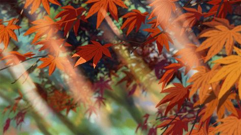 Falling Gif, Fall Anime, Gif Background, Nagisa Shiota, Anime Fanfiction, Fall Banner, Cute Banners, Banner Gif, Anime Gifs