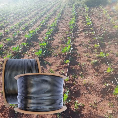 1 hectare irrigation kit agricultural drip tape system farm drip irrigation 22 hectares https://m.alibaba.com/product/1600590498860/1-hectare-irrigation-kit-agricultural-drip.html?__sceneInfo={"cacheTime":"1800000","type":"appDetailShare"} Drip Irrigation System Design, Irrigation System Design, Irrigation Valve, Drip Tape, Garden Hose Storage, Misting System, Spray Ground, Lawn Irrigation, Water Irrigation