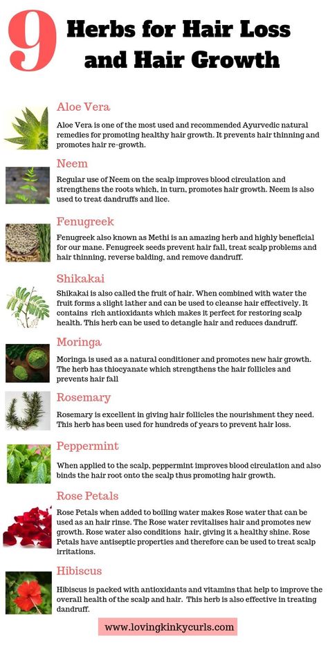 Herbs For Hair Growth, Herbs For Hair, Stinging Nettle, Ayurvedic Hair, Hair Care Regimen, Plant Nutrients, Promote Healthy Hair Growth, Natural Hair Tips, Healthy Hair Growth