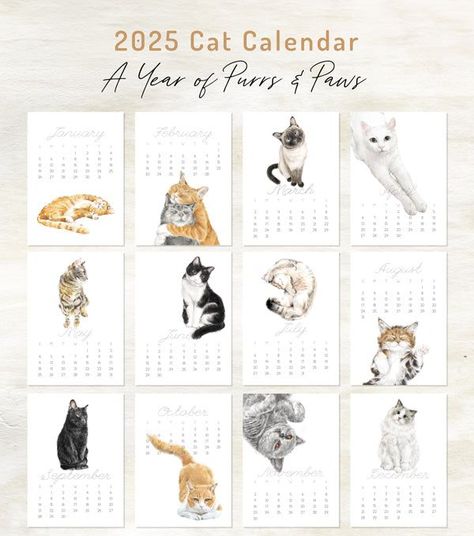 2025 Desk Calendar: Cat Watercolor Art - Yes please! Mini Desk Calendar, Modern Watercolor Art, Watercolor Calendar, Cat Calendar, Cat Watercolor, Cute Cat Illustration, Cat Illustrations, Unique Calendar, Fairy Illustration