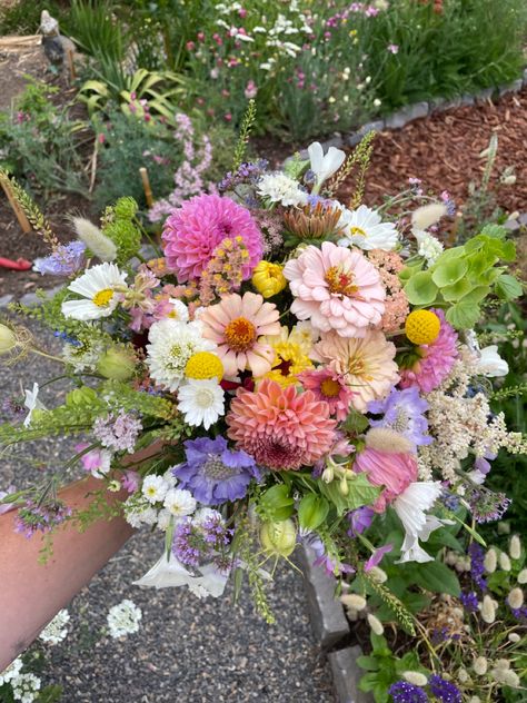 Zinnia Flower Bouquet, Dahlia And Zinnia Bouquet, Zinnia Bridal Bouquet, Scabiosa Bouquet, Zinnia Wedding Bouquet, Bouquet Recipes, Zinnia Bouquet, Flower Recipes, Farmers Market Flowers