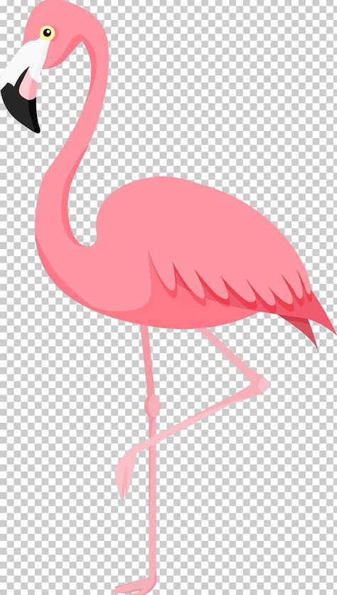 Flamingo Pink App Icons, Flamingo Drawing, Instagram Logo Transparent, Greater Flamingo, Flamingo Pictures, Bird Png, Happy Birthday Illustration, Flamingo Illustration, Flamingo Wallpaper