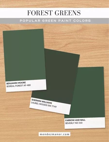 Bold and rich, these forest tones add drama and sophistication to any space! #greenpaint #forestgreen #darkgreenpaint #paintswatch #paintsamples #LTKhome Forest Green Wall Paint, Forest Green Walls, Green Painted Walls, Paint Swatches, Online Interior Design, Paint Samples, Spare Room, New Directions, Shop Window