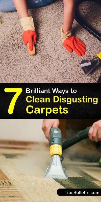 Steam Cleaner Solution, Diy Carpet Cleaning Solution, Borax Cleaning, Carpet Cleaner Solution, Steam Clean Carpet, Clean Carpet, Stain Remover Carpet, Cleaning Methods, Carpet Cleaner Homemade