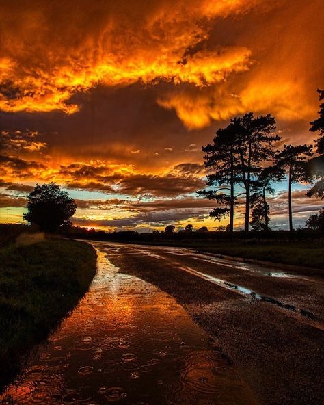 Nature, Sunset Realistic Photo, Rainy Landscape, Rain Sunset, Rain Puddle, Artist Pictures, Sky Rain, Rainy Sky, Sunset Road