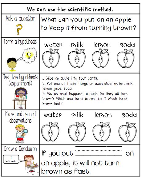 Let me start by saying I do love my new job. HOWEVER... I SO miss seasonal fun activities. I LOOOVE fall and this is always the time when ... Preschool Scientific Method, Scientific Method For Preschoolers, Apple Science Experiments 2nd Grade, Fall Kindergarten Science, Scientific Method First Grade Activities, Scientific Method 1st Grade, Scientific Method Grade 1, Apple Activities For 2nd Grade, Grade 1 Science Experiments